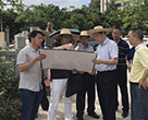 市水务局局长关文华调研金山沛_域和水环境l合整治工程情况