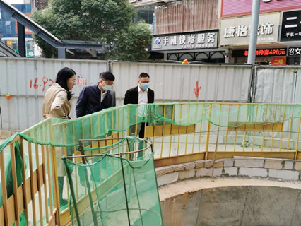 集团领导现场指导推进金山新城目